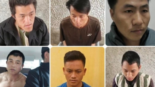 Triệt xóa đường dây ma túy xuyên quốc gia từ Lào vào Việt Nam