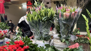 Hoa tươi ngày 29 Tết Nguyên đán: Đắt hơn thịt vẫn hút khách