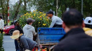 Nhộn nhịp chợ hoa Tết bên bờ sông Hương