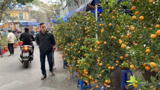 Thị trường ngày 30 Tết: Hoa, cây cảnh "hạ nhiệt", rau xanh tăng giá