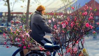 Miền Bắc rét đậm dù hửng nắng, miền Trung mưa nhiều nơi