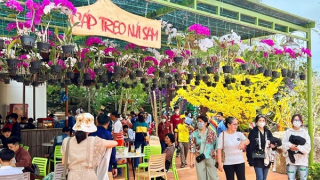 Khu du lịch Cáp treo Núi Sam miễn phí vé vào cổng tham quan phục vụ du khách gần xa