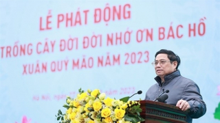 Thủ tướng Phạm Minh Chính phát động Tết trồng cây Xuân Quý Mão