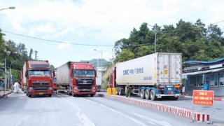 Xuất khẩu nông sản sang Trung Quốc sôi động trở lại