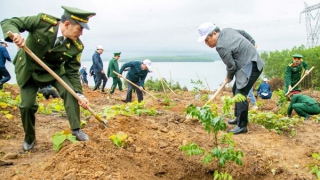 Quảng Bình giữ độ che phủ rừng đứng thứ 2 toàn quốc