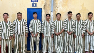 Khởi tố, bắt tạm giam 8 đối tượng đánh bạc và tổ chức đánh bạc