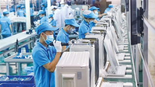 Đẩy mạnh các phiên giao dịch việc làm ngay từ đầu xuân