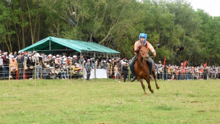 Đến Phú Yên xem nông dân trổ tài đua ngựa