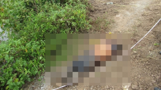 Phá án ngày giáp Tết