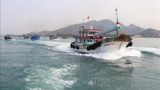 Tăng cường tuyên truyền cho ngư dân ra khơi đầu năm về chống khai thác hải sản bất hợp pháp