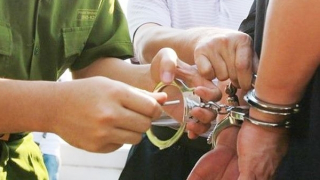 Bắt tạm giam Viện trưởng Viện Nghiên cứu và Phát triển SENA