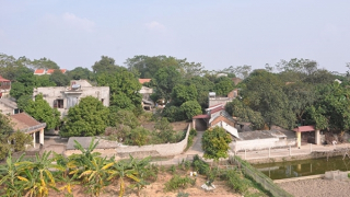 Trở lại Đồi Văn hóa kháng chiến