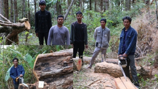 Chuyện điều tra án "lâm tặc" ở Đức Trọng