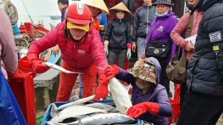 Ước vọng “lộc biển” đầu năm