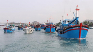 Thấy gì sau 5 năm Việt Nam nỗ lực gỡ thẻ vàng IUU?