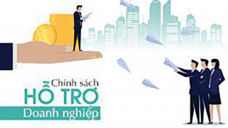 Hỗ trợ pháp lý cho doanh nghiệp nhỏ và vừa