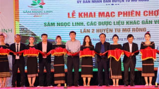 Khai mạc phiên chợ sâm Ngọc Linh