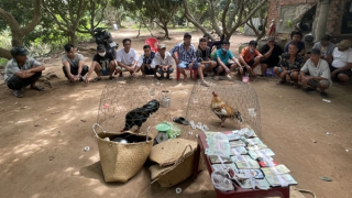 Công an Vĩnh Long phá nhiều vụ cờ bạc