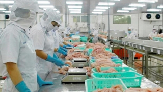 Chủ động phòng vệ thương mại, để tăng sức cạnh tranh với hàng ngoại