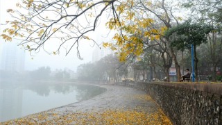 Hà Nội mờ mịt sương mù, nồm ẩm; Nam Bộ oi nóng gần 35 độ C