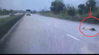 Tạm giữ hình sự đối tượng hất chiến sĩ CSGT lên nắp capo