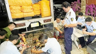 Đề nghị khởi tố vụ giả mạo thương hiệu cà phê bột