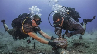 Sửa chữa các tuyến cáp biển internet vào giữa tháng 3