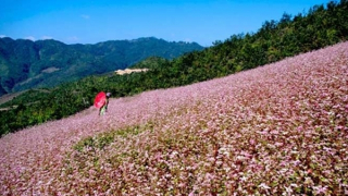 Tây Bắc - nơi thơ nhạc cất cánh