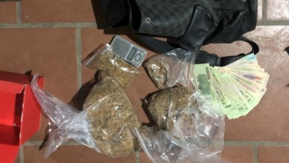 Xuất hiện loại ma túy mới gây ảo giác trong mẫu sợi thực vật