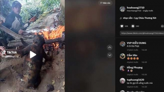 Giết hại động vật hoang dã rồi khoe trên mạng xã hội: Hành vi đáng bị lên án