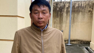 Trồng 54m2 cây thuốc phiện giữa vườn cây ăn quả, U60 bị khởi tố