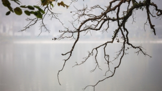 Mưa phùn, ẩm ướt và sương mù duy trì tại miền Bắc, Nam Bộ nắng đẹp