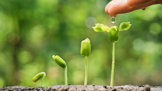 Sự sống ở trong ta