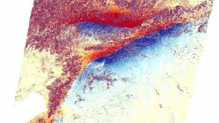 Xuất hiện hai vết nứt lớn chưa từng có ở biên giới Thổ Nhĩ Kỳ - Syria