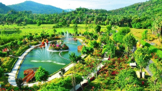 Nhiều người “kháo nhau” đến Khu tham quan điện mặt trời An Hảo “săn” ảnh đẹp