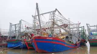 Hàng trăm tàu cá nằm bờ do thiếu thuyền viên