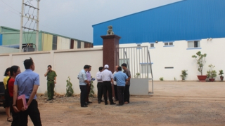 Truy trách nhiệm người phân lô đất trồng rừng tại Cụm công nghiệp “chui” Phước Tân