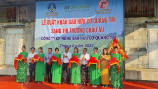 Quảng Trị xuất khẩu 15 tấn gạo hữu cơ sang thị trường châu Âu