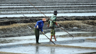 Ngọt mặn trên đồng muối Sa Huỳnh