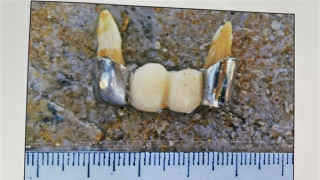 Truy tìm tung tích tử thi được phát hiện trôi dạt trên vùng biển Phú Yên