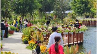 Nhịp điệu mới cho khát vọng phương Nam