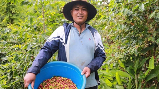 Đổi thay đáng mừng ở vùng biên Quảng Trị