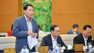 Thứ trưởng Bộ Công an nói gì về vụ án Tân Hoàng Minh, Vạn Thịnh Phát?