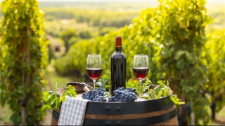 Các nhà sản xuất rượu vang ở Bordeaux muốn "đổ rượu xuống cống"