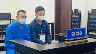 Vướng lao lý vì đưa người nước ngoài nhập cảnh trái phép vào Việt Nam