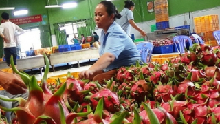 Những điều doanh nghiệp cần lưu ý khi xuất khẩu hàng sang UAE