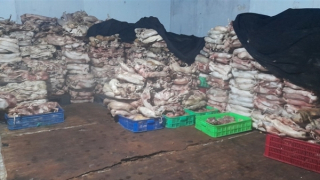 Bốn tấn mèo nằm trong đông lạnh chờ... nấu cao