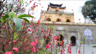 Hội thảo khoa học cấp quốc gia kỷ niệm 80 năm Đề cương về văn hóa Việt Nam sẽ diễn ra ngày 27/2