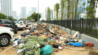 Ngõ mới mở thành đường, rác ngập chắn lối