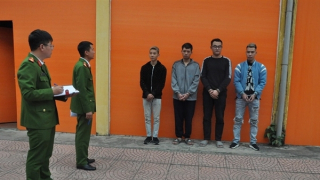 Mua cỏ Mỹ về trộn thêm thuốc lào rồi rao bán